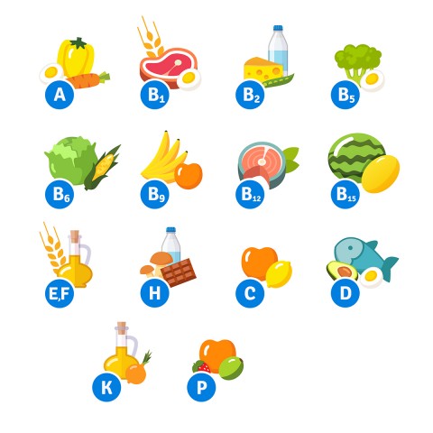 Les Vitamines qu’il nous faut
