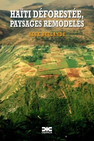 Haïti déforestée, paysages remodelés (1)