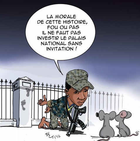Un « malade mental » déjoue la sécurité du Palais national…