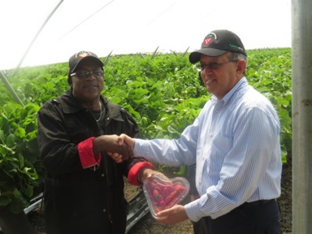 L’exemple dominicain pour redynamiser et moderniser l’agriculture haïtienne 