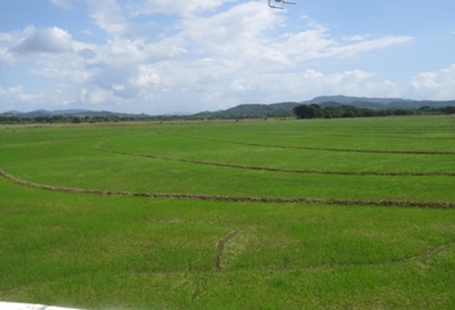 Pour un système de crédit agricole inclusif 