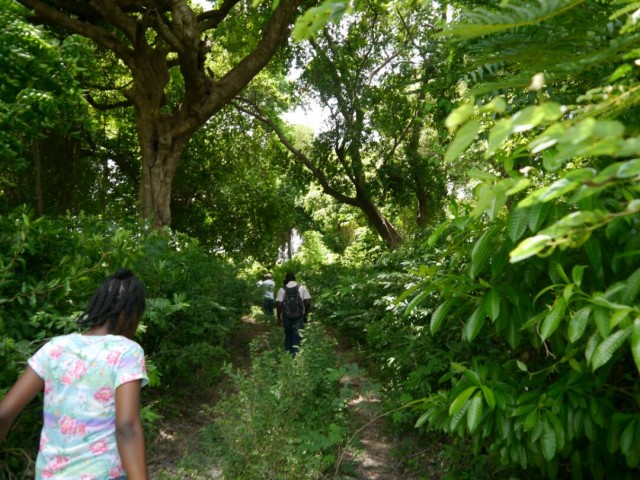 Aménagement du Jardin botanique national d’Haïti : très faible progression observée