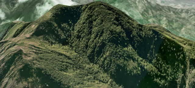 Haïti National Trust achète en partenariat avec la Société Audubon Haïti le site de Grand Bois, créant une réserve naturelle privée       