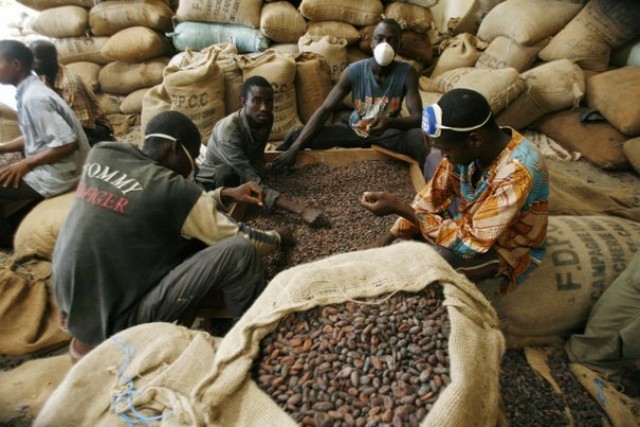 Haïti et Honduras se partagent leurs expériences du cacao