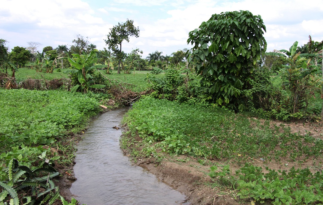 Une meilleure maîtrise de l’eau pour optimiser le rendement agricole