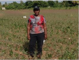 Semer des graines pour la résilience face à la pandémie de COVID-19 en Haïti