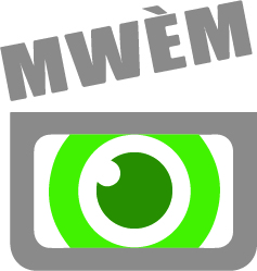 Mwèm, une fondation qui œuvre dans le visuel
