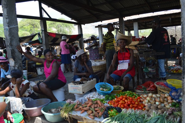 Agriculture et élevage : que produit-on encore en Haïti ?
