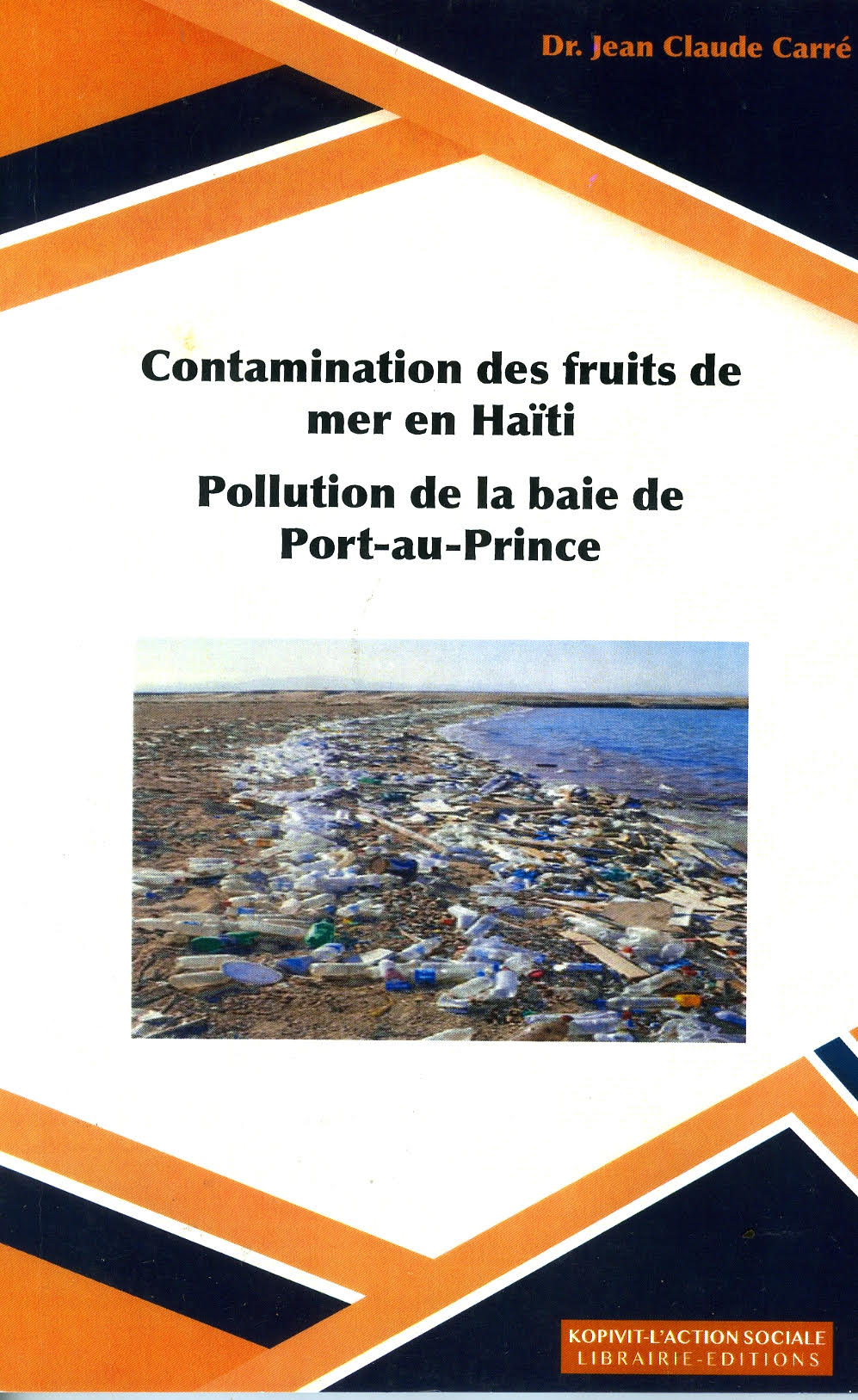 Pollution de la baie de Port-au-Prince, ses conséquences sur l’économie du pays