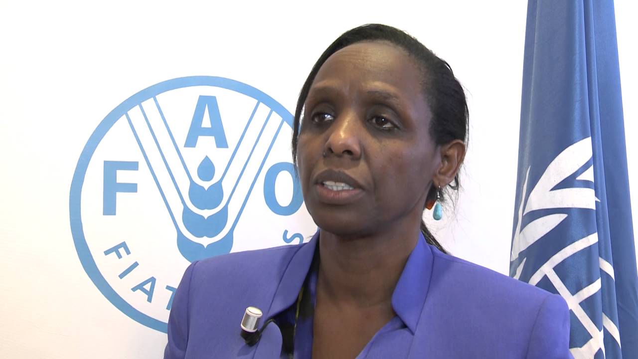 L'ONU pousse à la transformation des systèmes alimentaires mondiaux