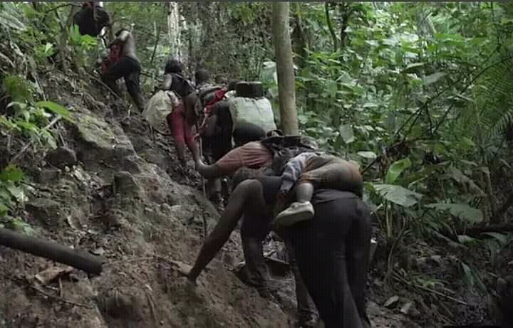 Parcours d’une famille haïtienne pour vivre son rêve américain