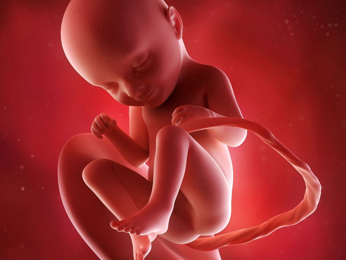 Le Nouvelliste Deux Balles Pour Un Bebe Dans Le Ventre De Sa Mere