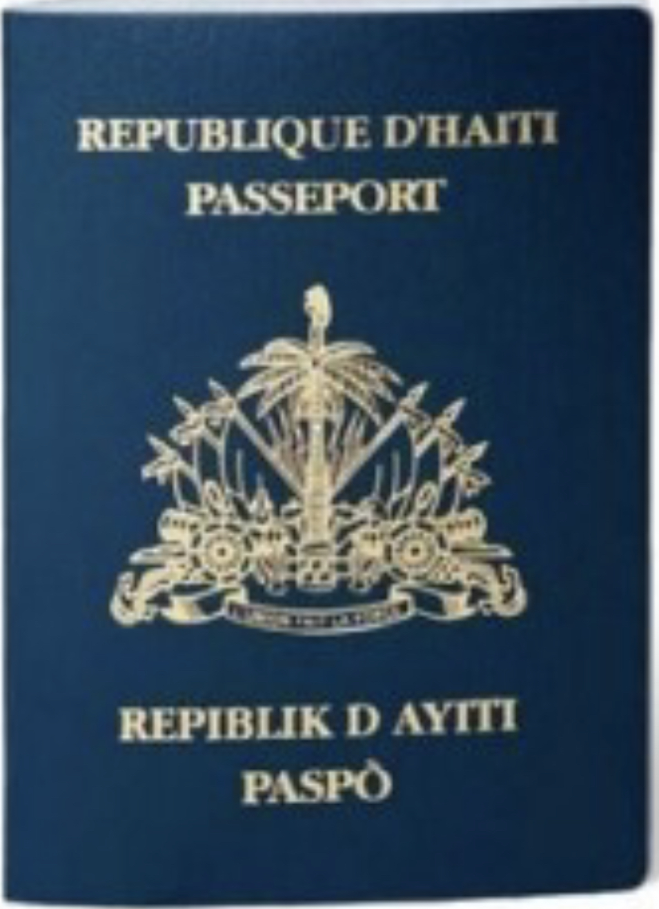 Programme migratoire Biden : l’application mobile a des difficultés techniques