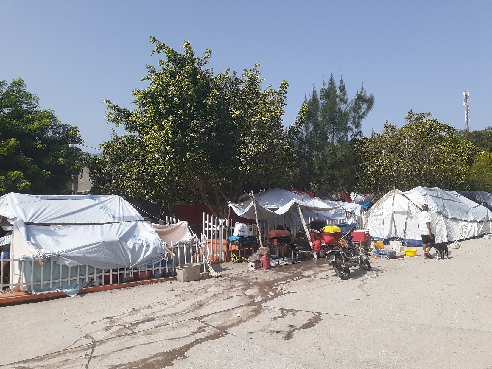 Les Nippes s’unissent contre la mise en place de camps d’hébergement