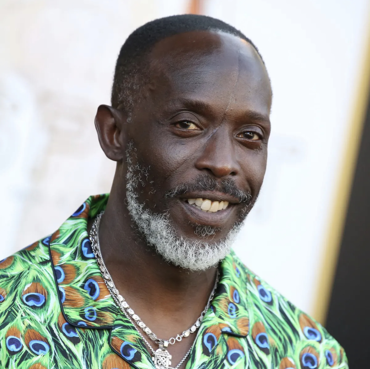 Mort soudaine de l’acteur américain Michael K. Williams