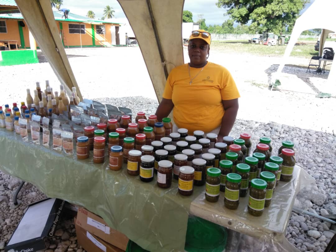 Vers une plus grande inclusion pour les Haïtiens vivant avec un handicap