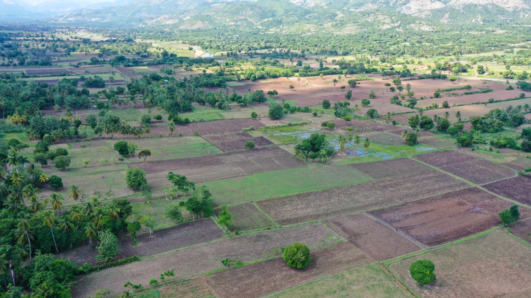 Séisme d’août 2021, la catastrophe alimentaire s’éloigne de plus en plus du département du Sud