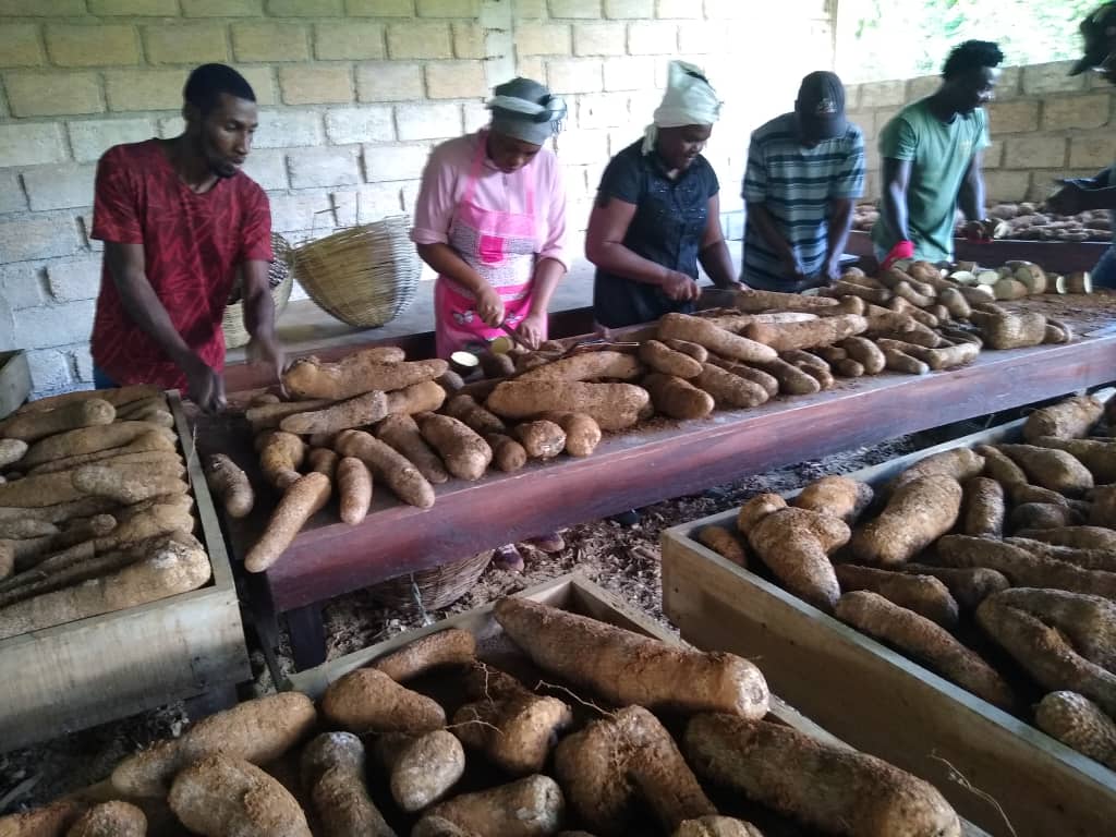 Baptiste : une ferme d'expérimentation agricole pour contrer l'insécurité alimentaire