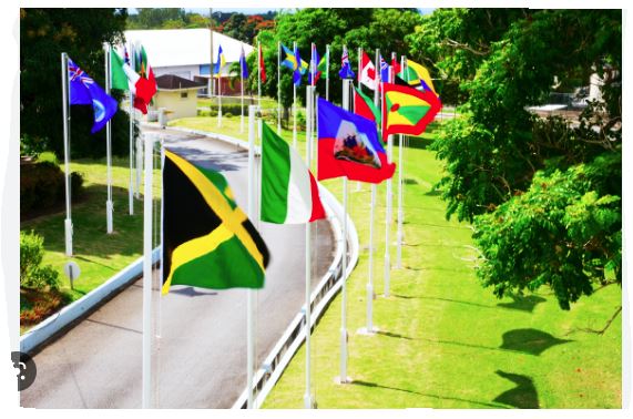 Le FMI approuve les demandes de la CDB et de 4 autres institutions pour devenir titulaires de DTS