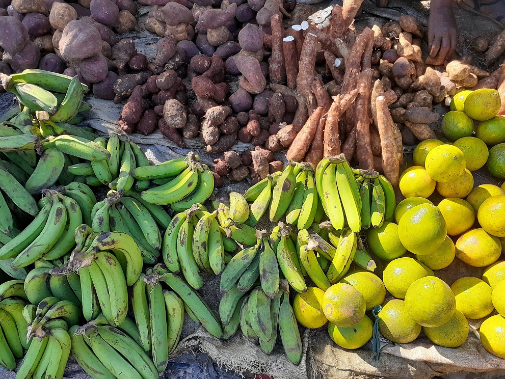 Sur-disponibilité de produits agricoles dans le Sud, l’entrepreneur Astrel Joseph prévoit une catastrophe