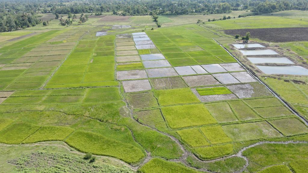 L'UNDH-UDERS des Cayes lance son parc technologique agricole 