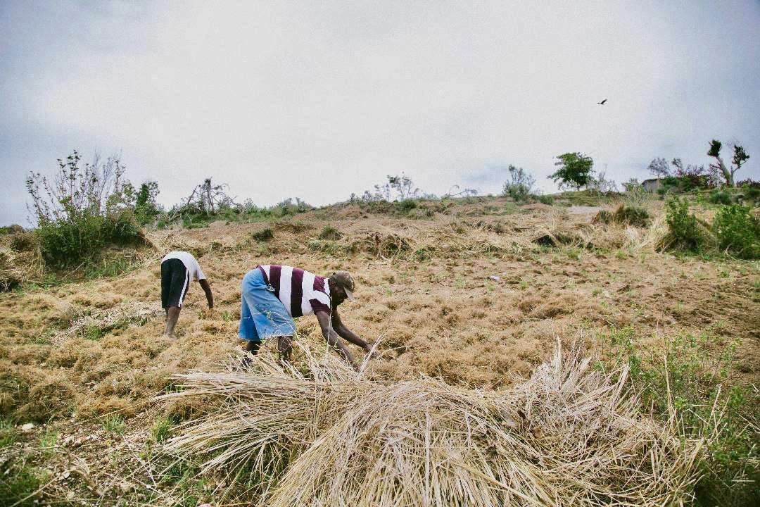 Expansion of Essential Oils and Seafood Exports Noted in 2023