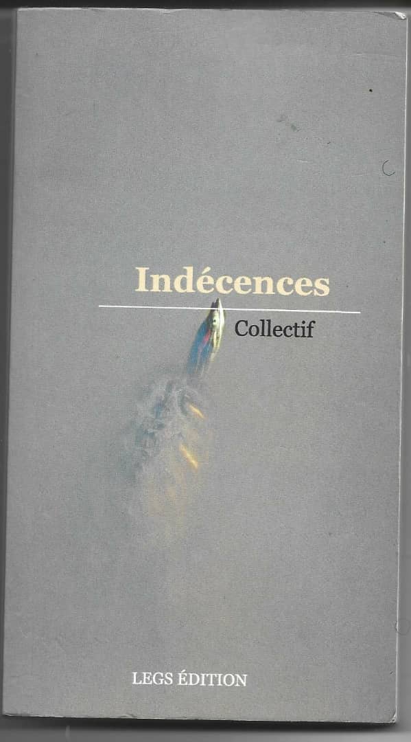 Indécences, un ouvrage collectif pour dire la violence