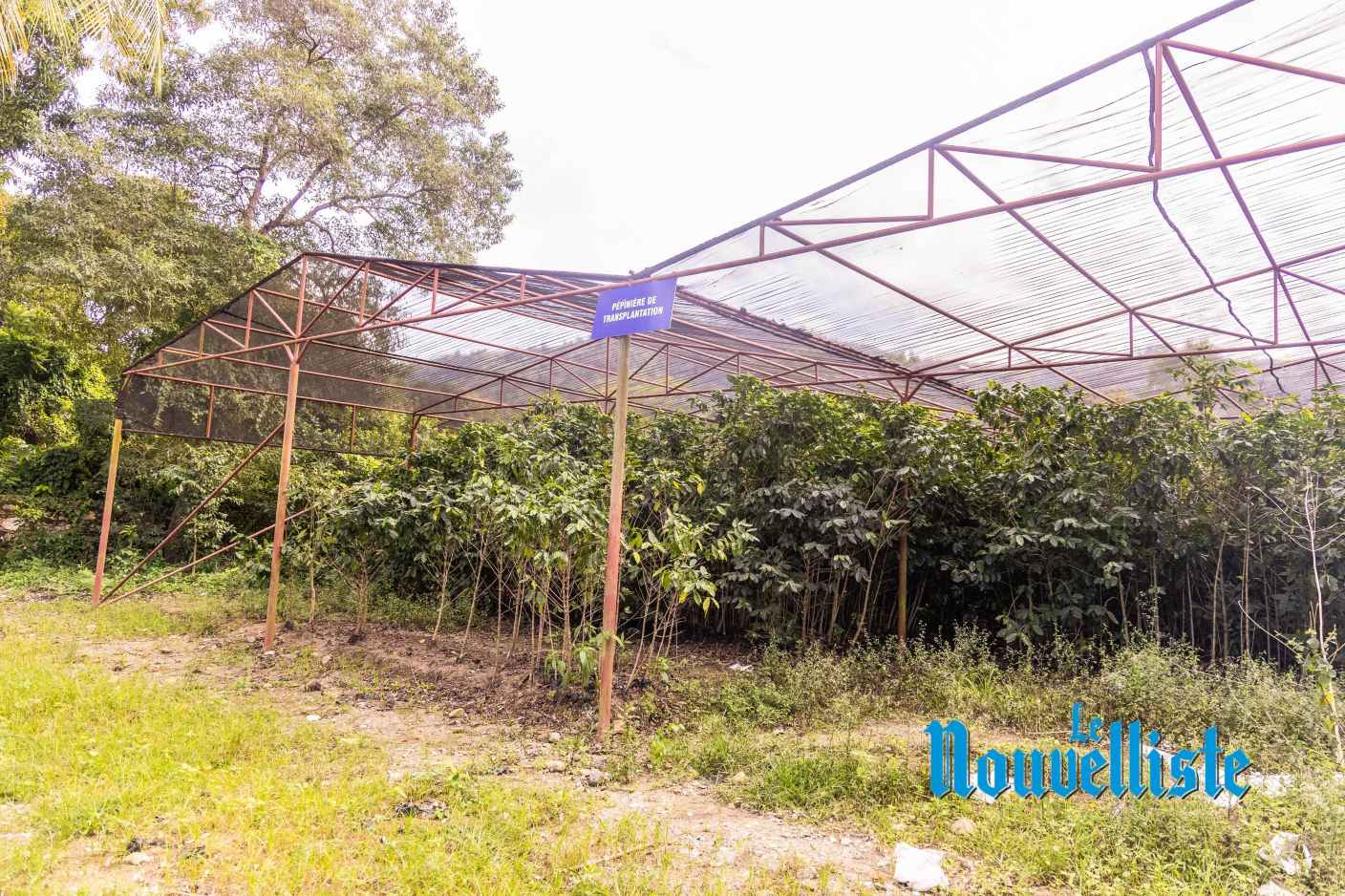 Seedlings Grow at Grand Pré Germplasm Center