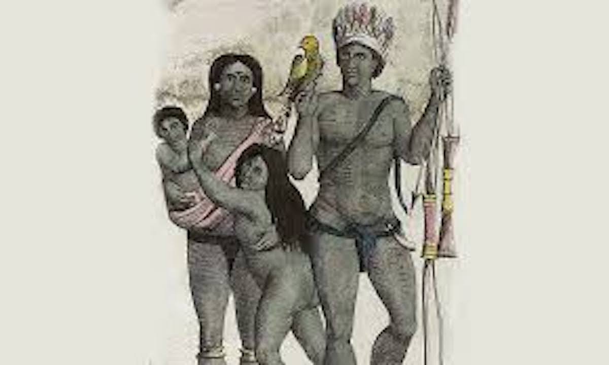 Émile Nau, pionnier du romantisme haïtien et défenseur de la littérature nationale