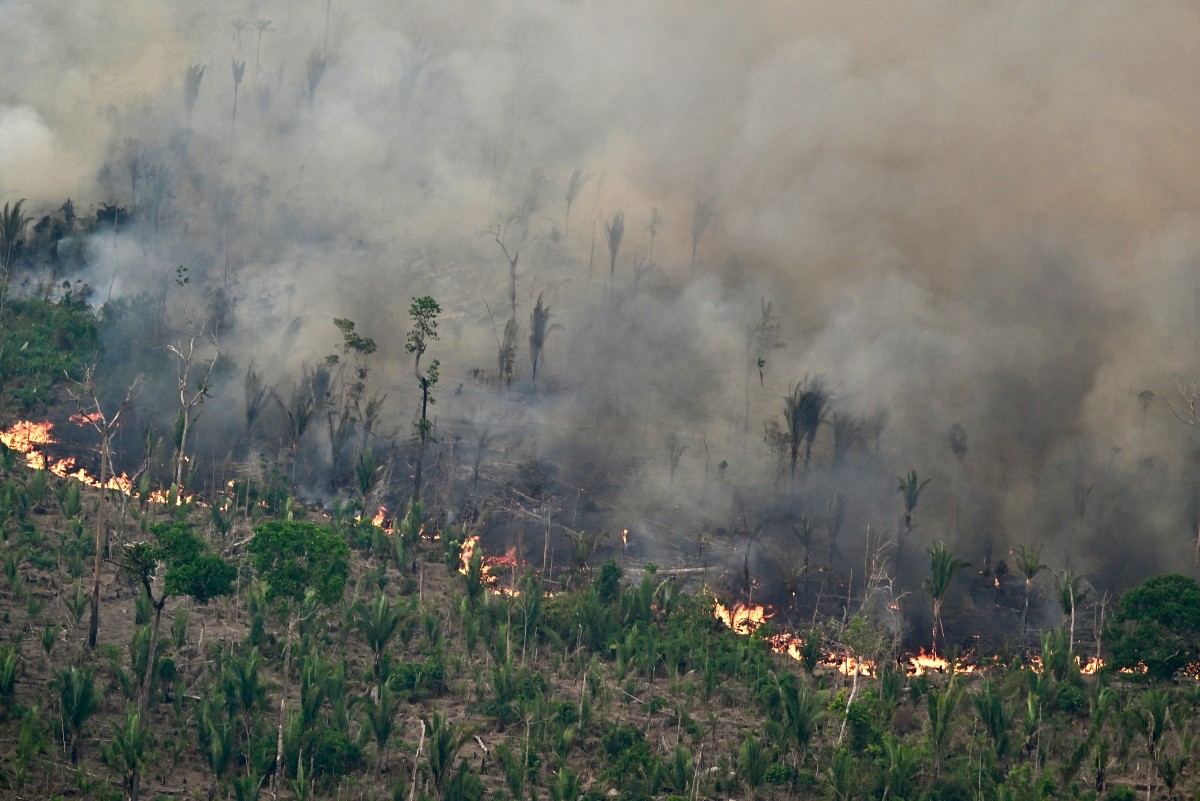Déforestation et incendies: alertes tous azimuts sur l'Amazonie