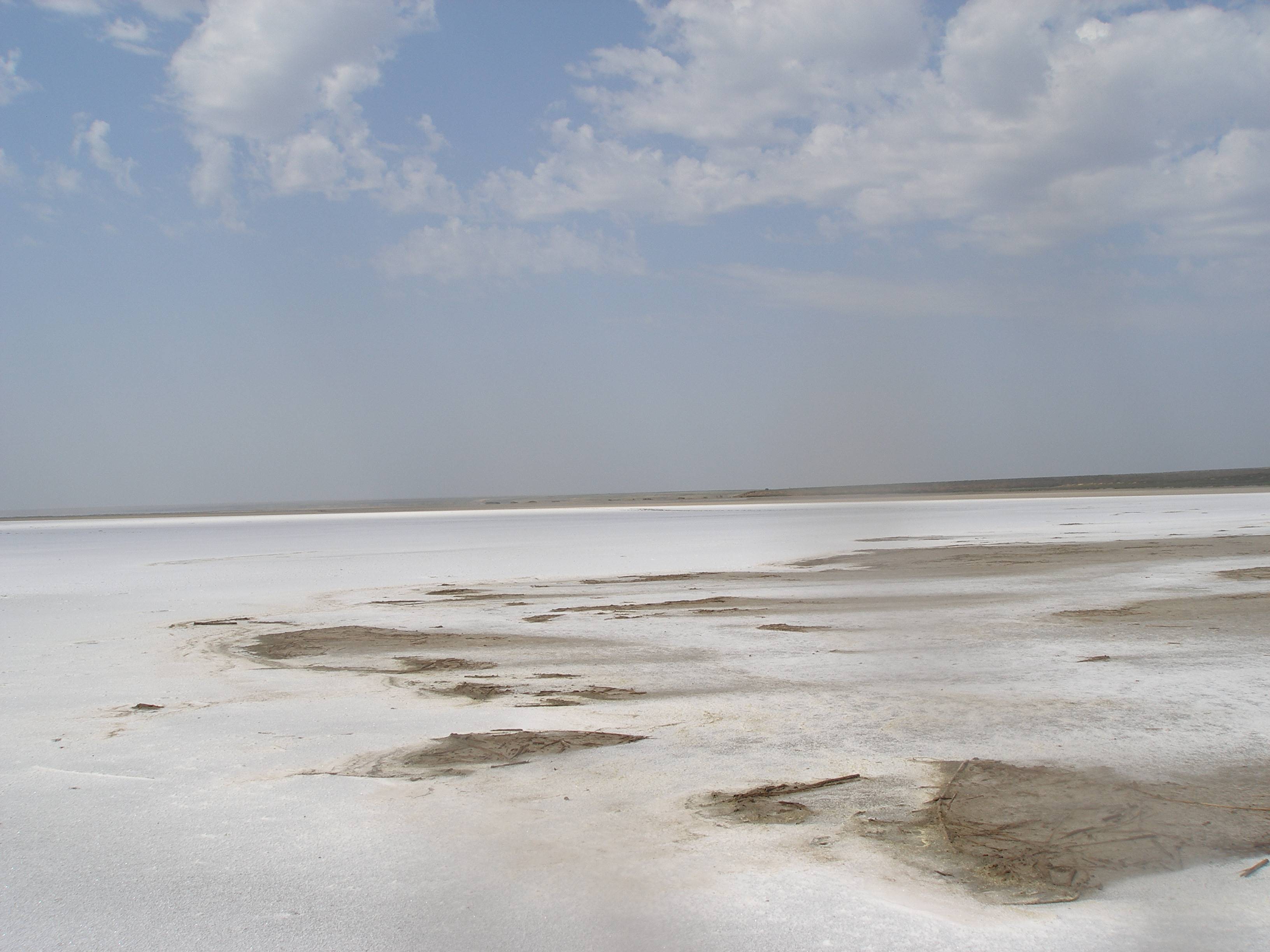 Le chef de l'ONU Climat en appelle à "l'intérêt" de chaque pays