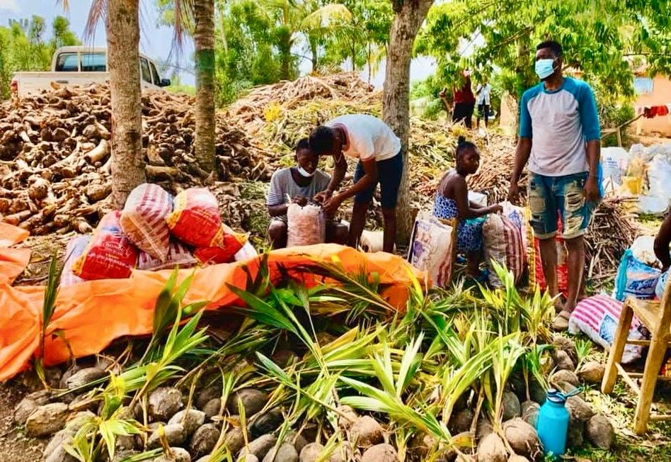 Récolte d’hiver : Les marchés des communes du Nord-Est bien approvisionnés en produits agricoles essentiels