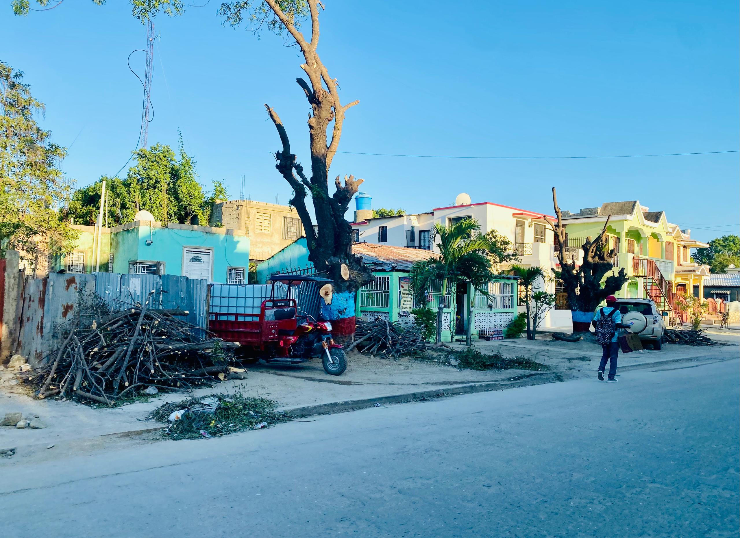 Carnaval national 2025: Les membres du comité organisateur sont connus