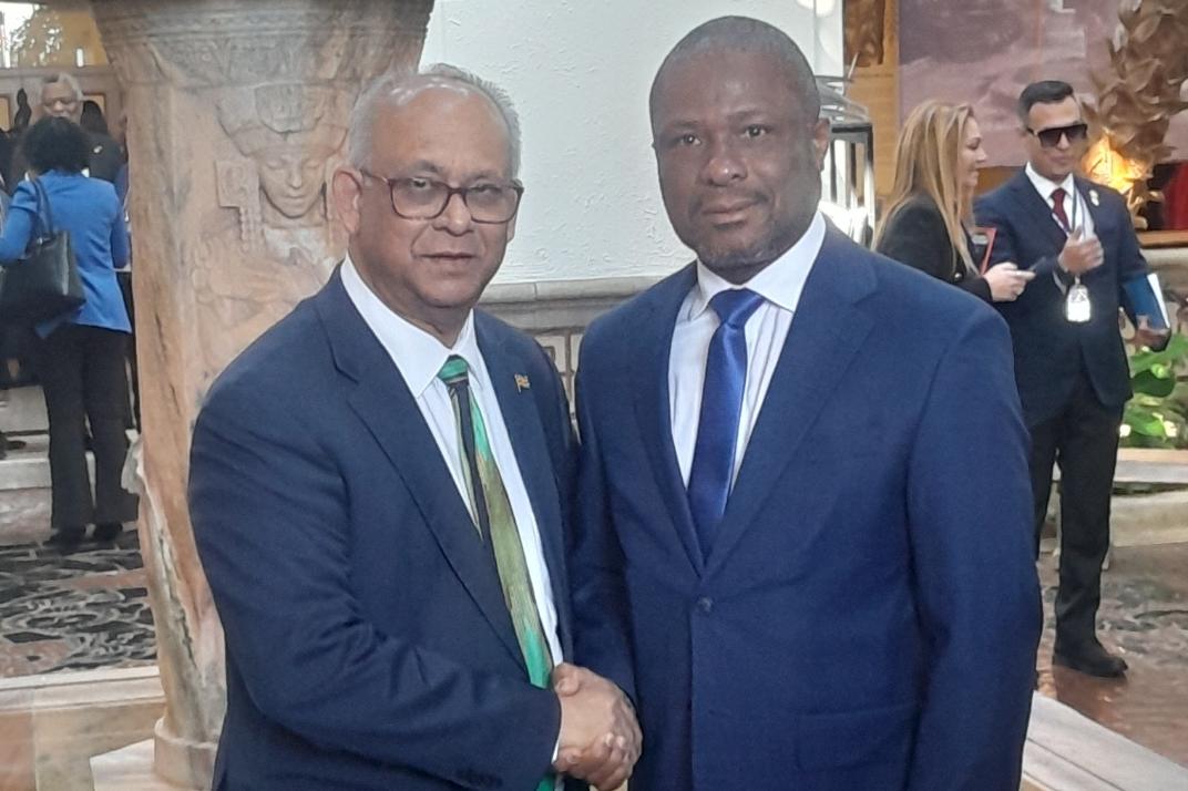 Albert Ramdin élu secrétaire général de l'OEA