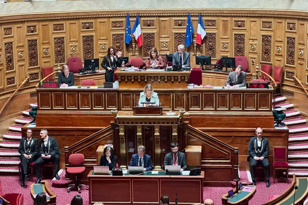 French Senate Approves Resolution Supporting Security Efforts in Haiti