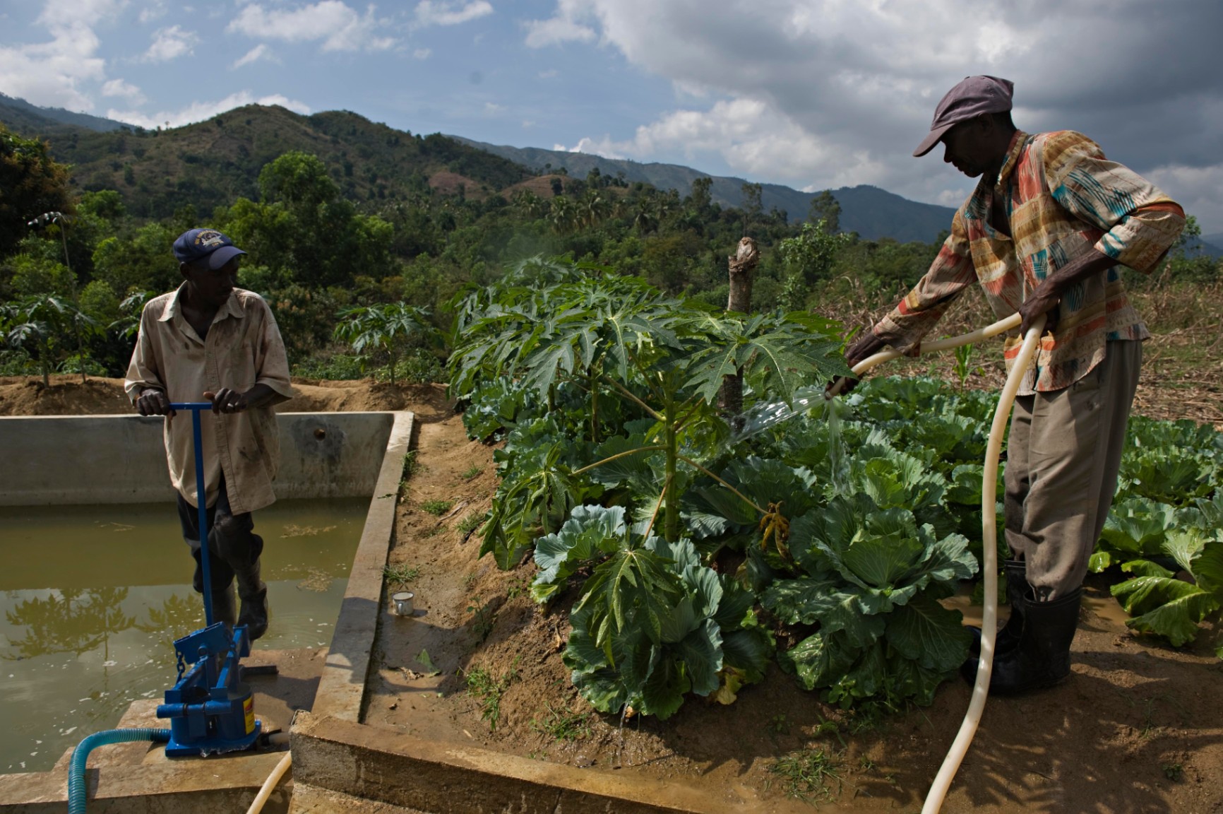 Le développement agricole haïtien : Analyse du document de la politique de développement agricole 2010-2025 du Ministère de l'Agriculture des Ressources Naturelles et du Développement Rural (MARNDR)