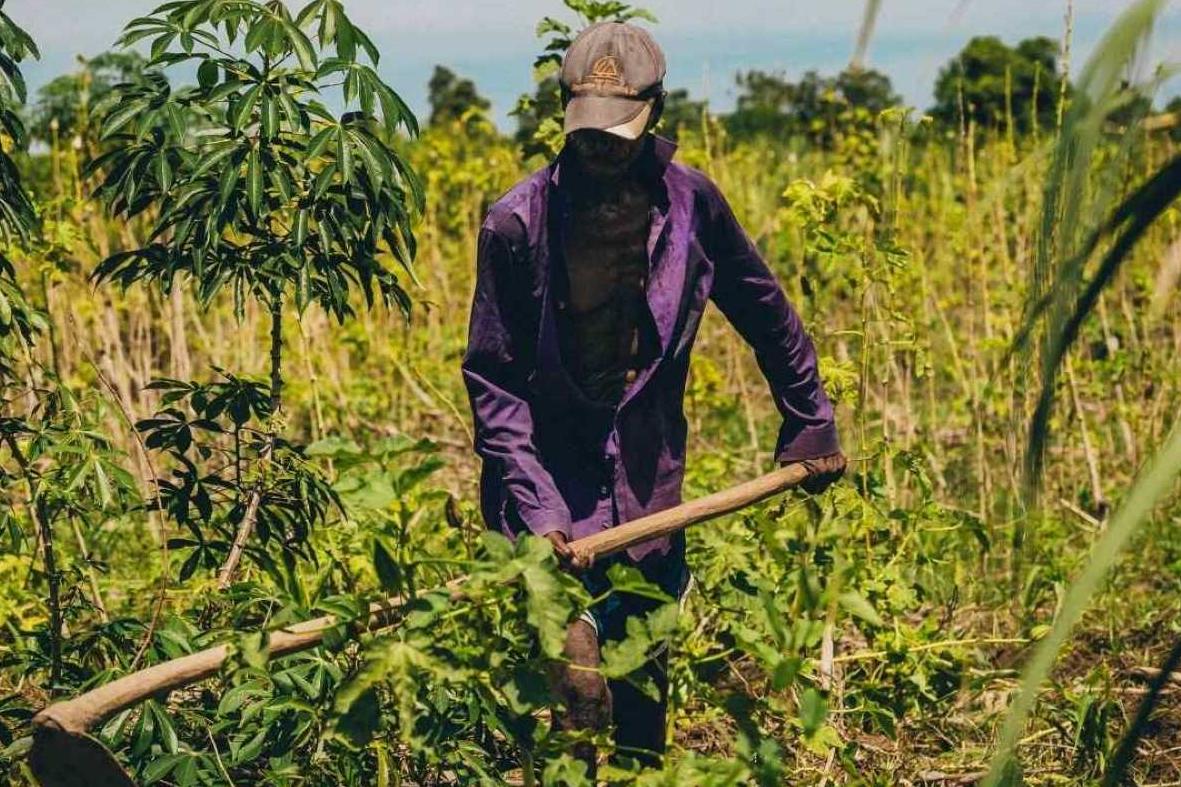 Haïti face au climat : une agriculture oubliée dans le débat national
