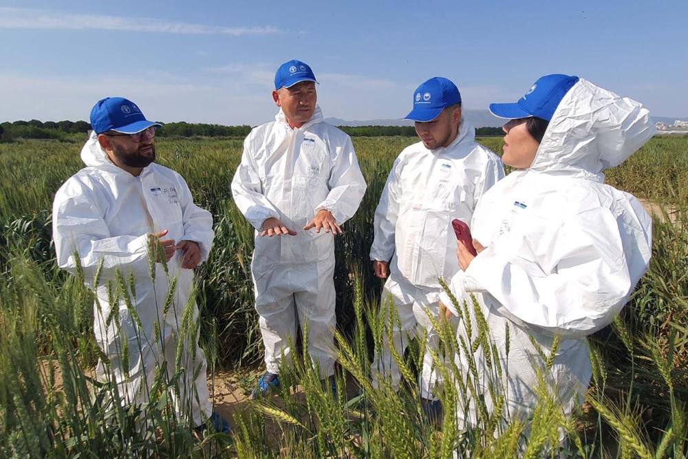 Quand le vent sème la faim