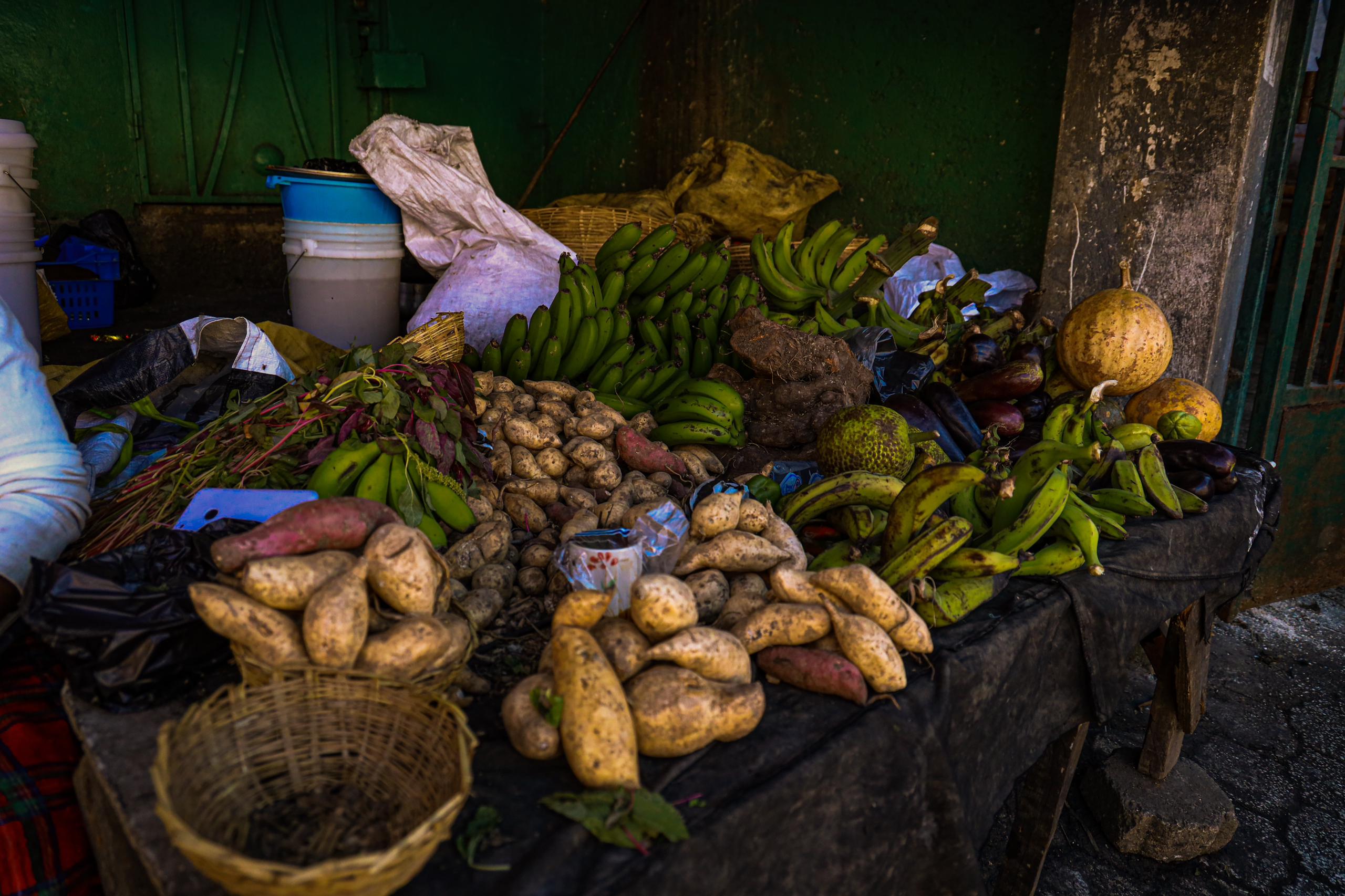 Crise alimentaire en Haïti : renforcer la résilience des agriculteurs pour sauvegarder la production nationale