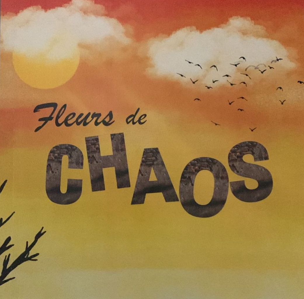 Quand la poésie émerge du fracas à Livres en folie à travers « Fleurs de chaos »