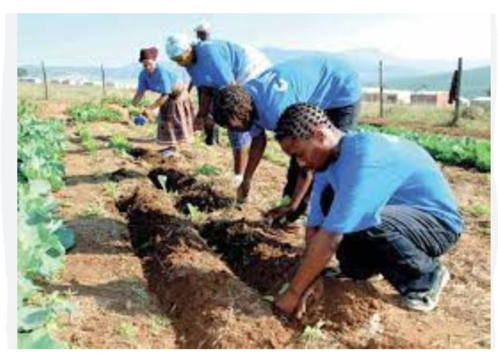 Aux Etats-Unis, les jeunes diplômés face à la crise de l'emploi