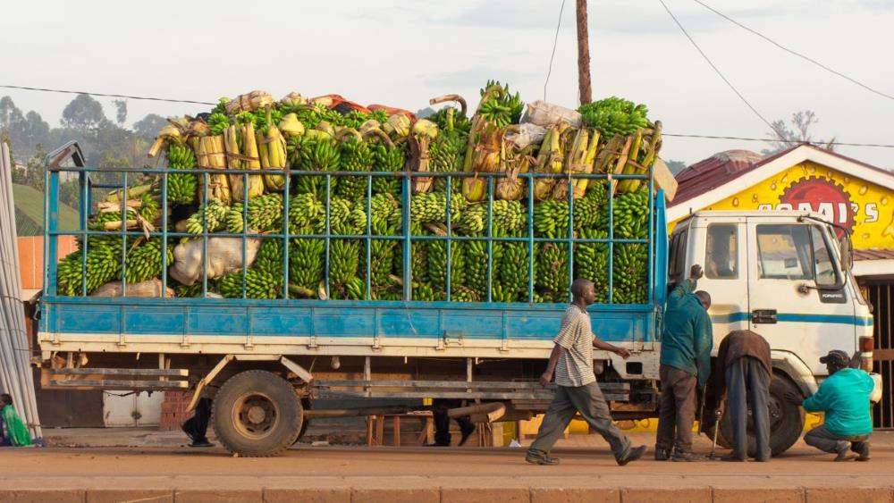 Faire de la géographie une opportunité : nouvelles priorités pour les économies enclavées