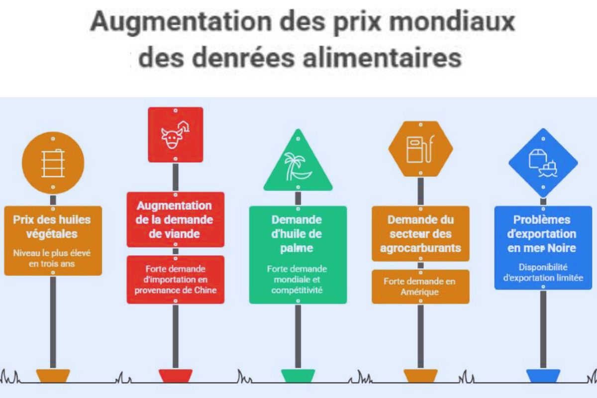 Les prix alimentaires mondiaux en hausse en juillet, portés par la viande et les huiles végétales