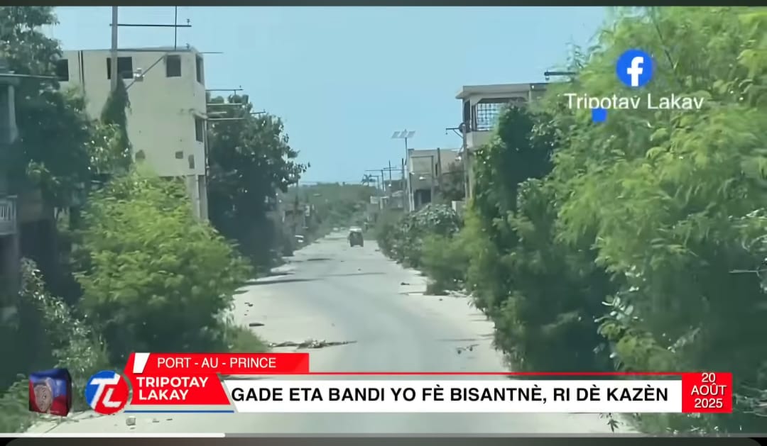 What If the CPT, the Prime Minister, and Their Allies Went Downtown to See the Greenery Replacing the Asphalt?