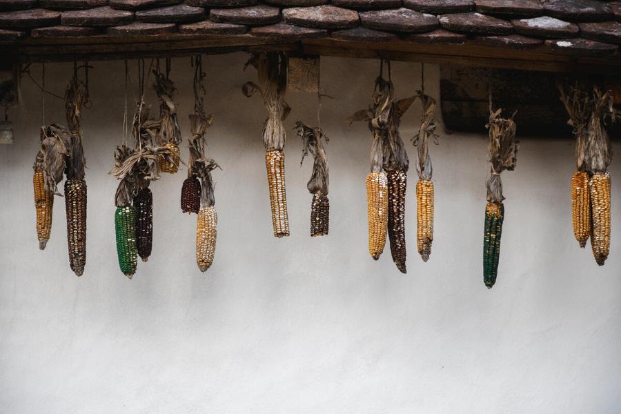 L'indice FAO des prix des produits alimentaires quasiment inchangé en août