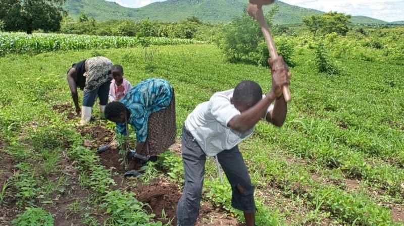 Une vraie réponse pour les paysans : l’assurance agricole indicielle