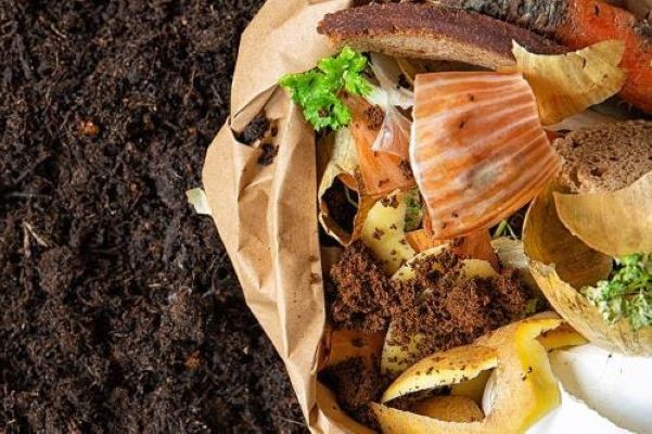 Contre les pertes et le gaspillage de nourriture… pour l'humanité et pour la planète.