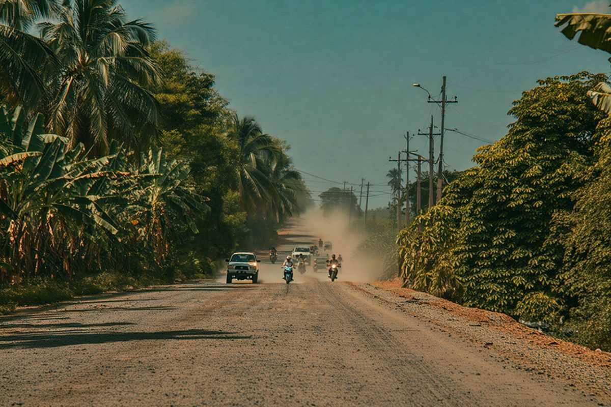 7 pas dlo: Chimen memwa Savanolèt- Wanament