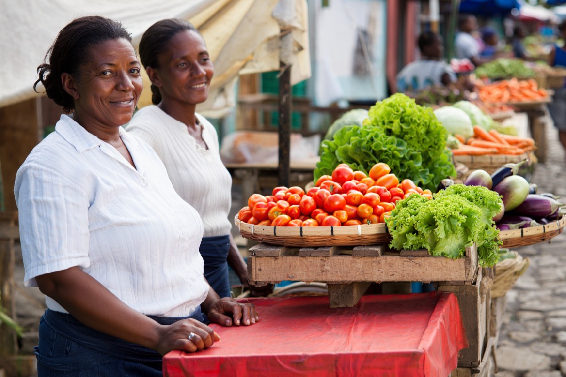 Dix ans d'impact des Associations villageoises d'épargne et de crédit (AVEC) 2012-2022