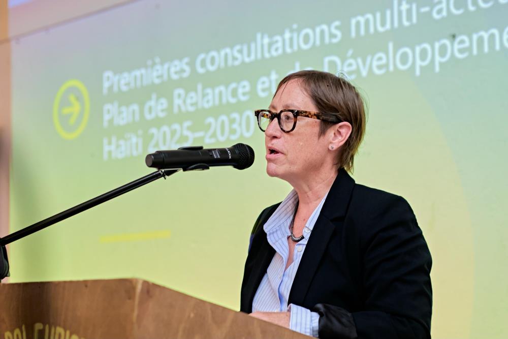 Une version révisée du RCIA fait état d'un important déficit de financement pour le redressement d'Haïti